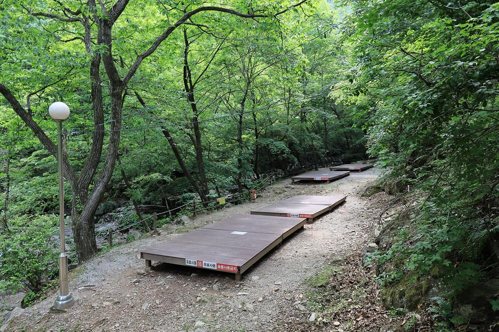 강원도산림개발연구원 집다리골자연휴양림