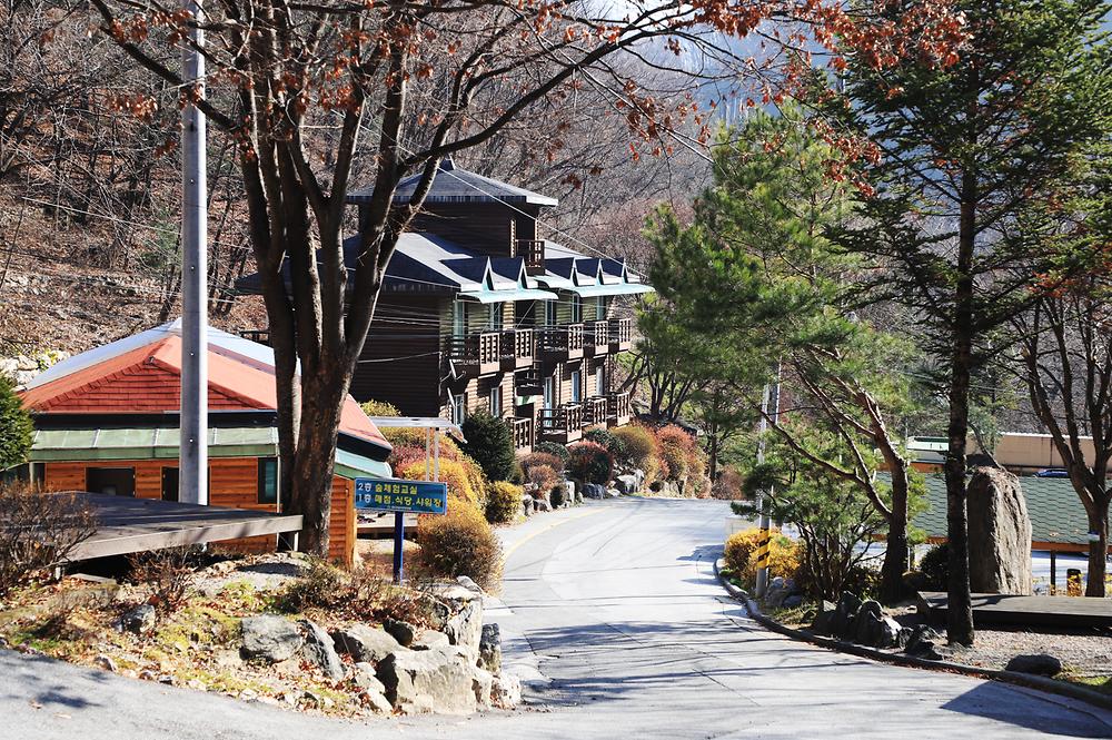 강원도산림개발연구원 집다리골자연휴양림