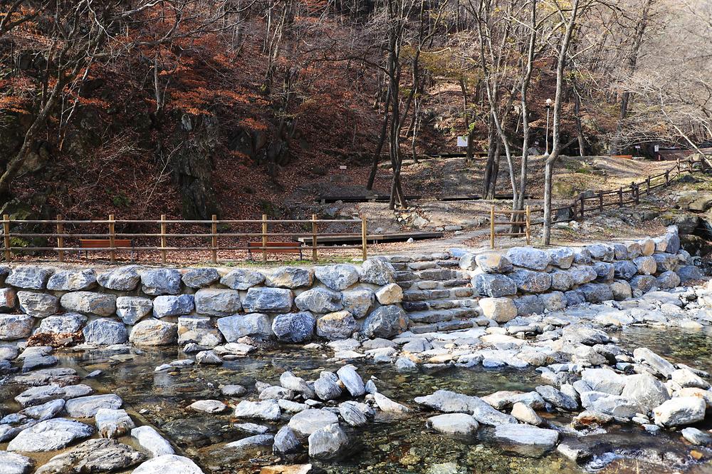 강원도산림개발연구원 집다리골자연휴양림