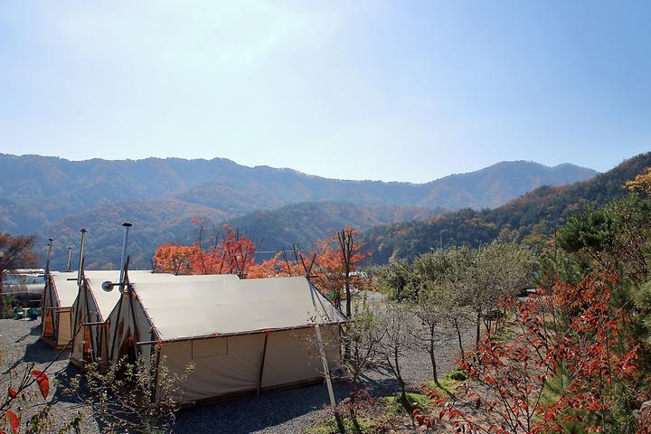 살구나무글램핑&펜션 메인 이미지