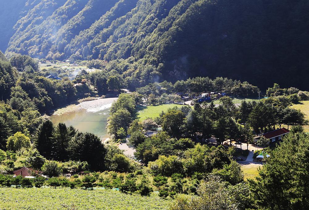 살둔산장