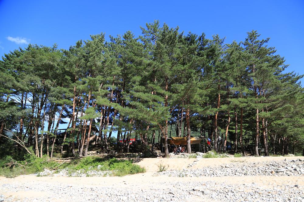 살둔산장