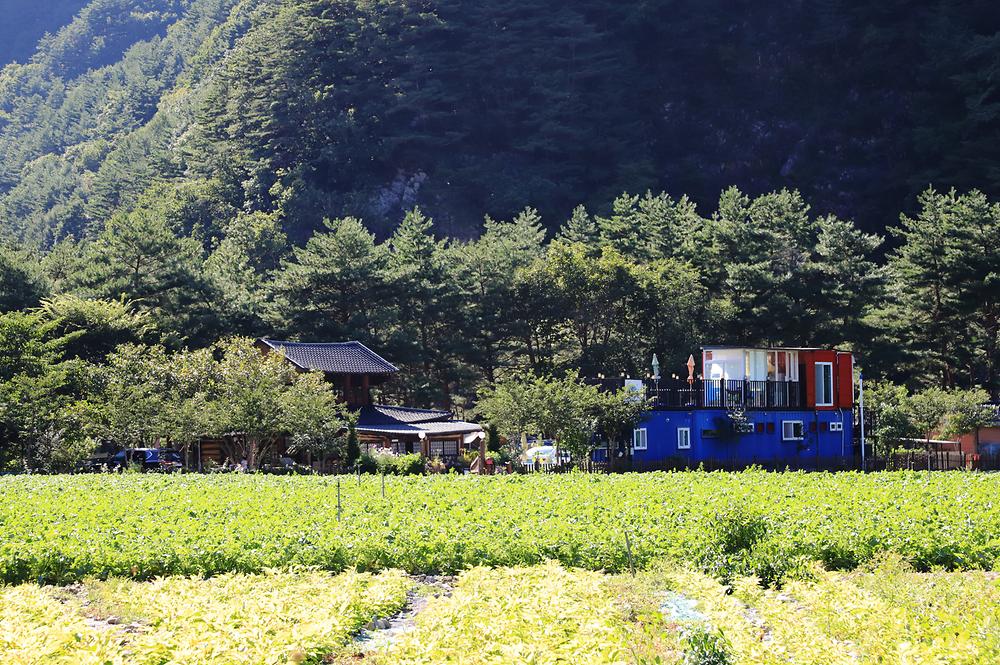 살둔산장