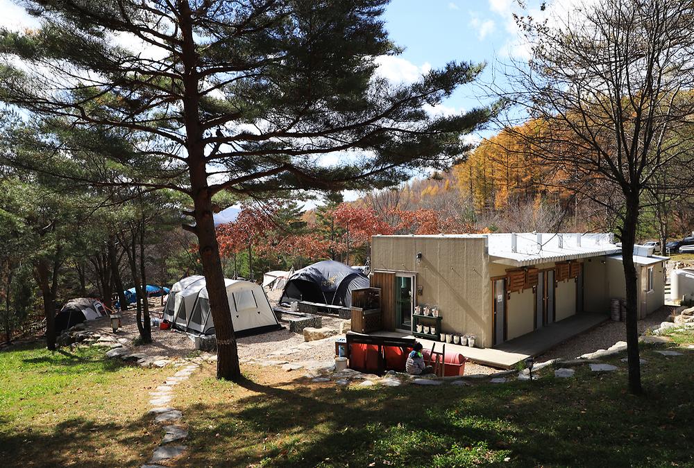 삼남매와 뭉치네 캠핑장