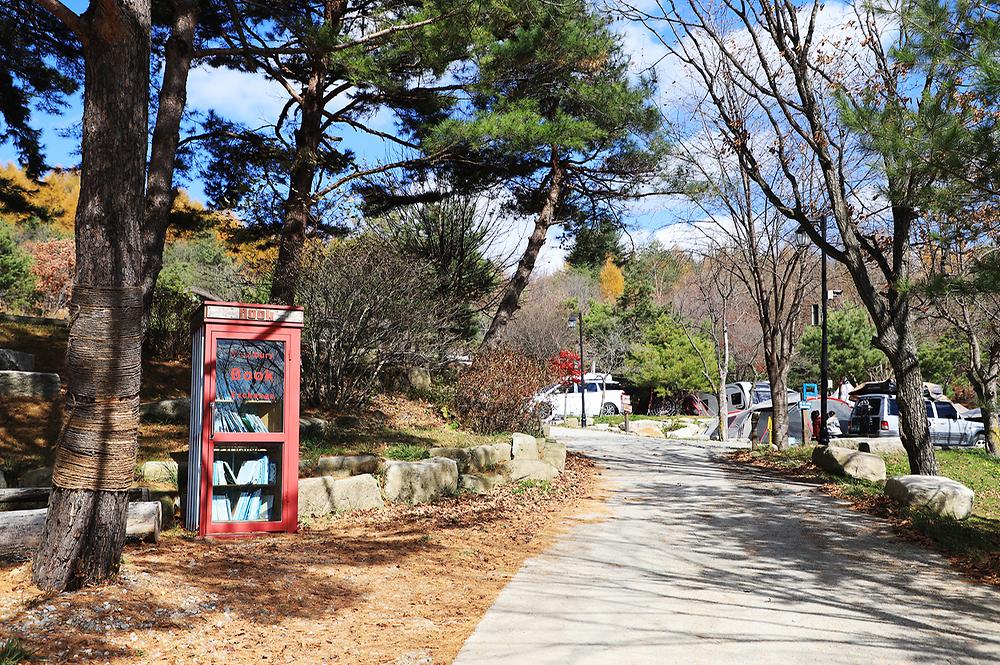 삼남매와 뭉치네 캠핑장
