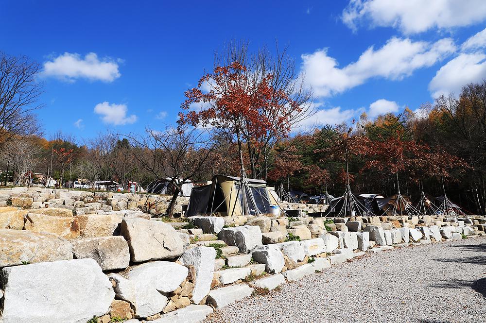 삼남매와 뭉치네 캠핑장