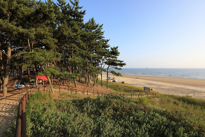 삼봉자동차야영장 메인 이미지