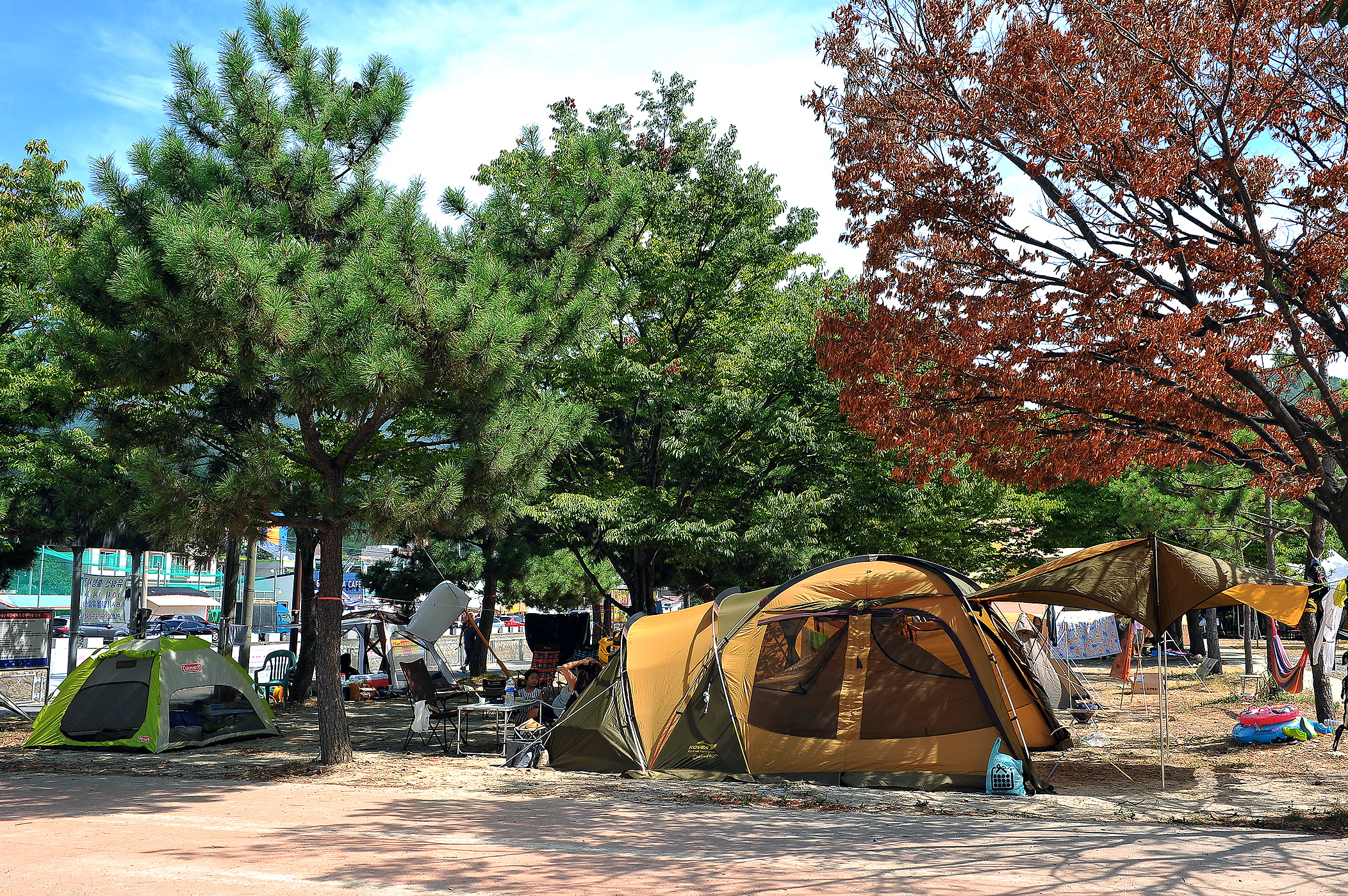 상주은모래비치 오토캠핑장