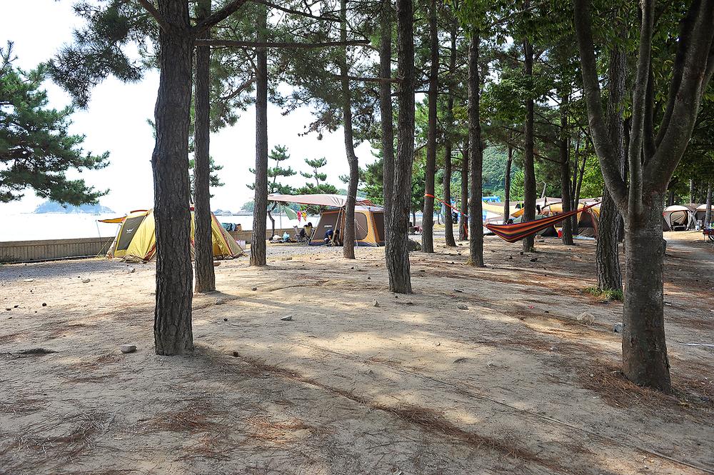 상주은모래비치 오토캠핑장