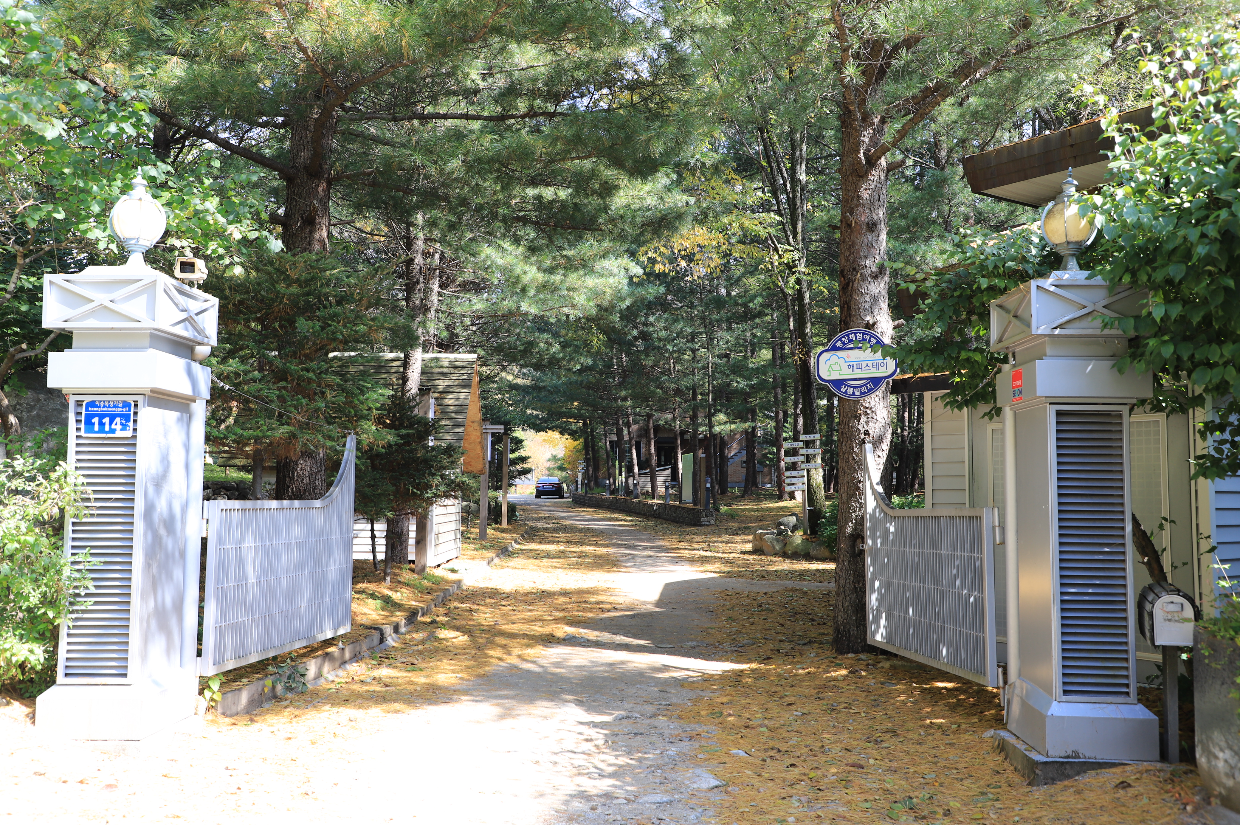 휘게포레스트