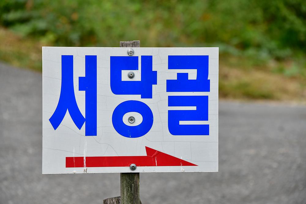 서당골캠핑장