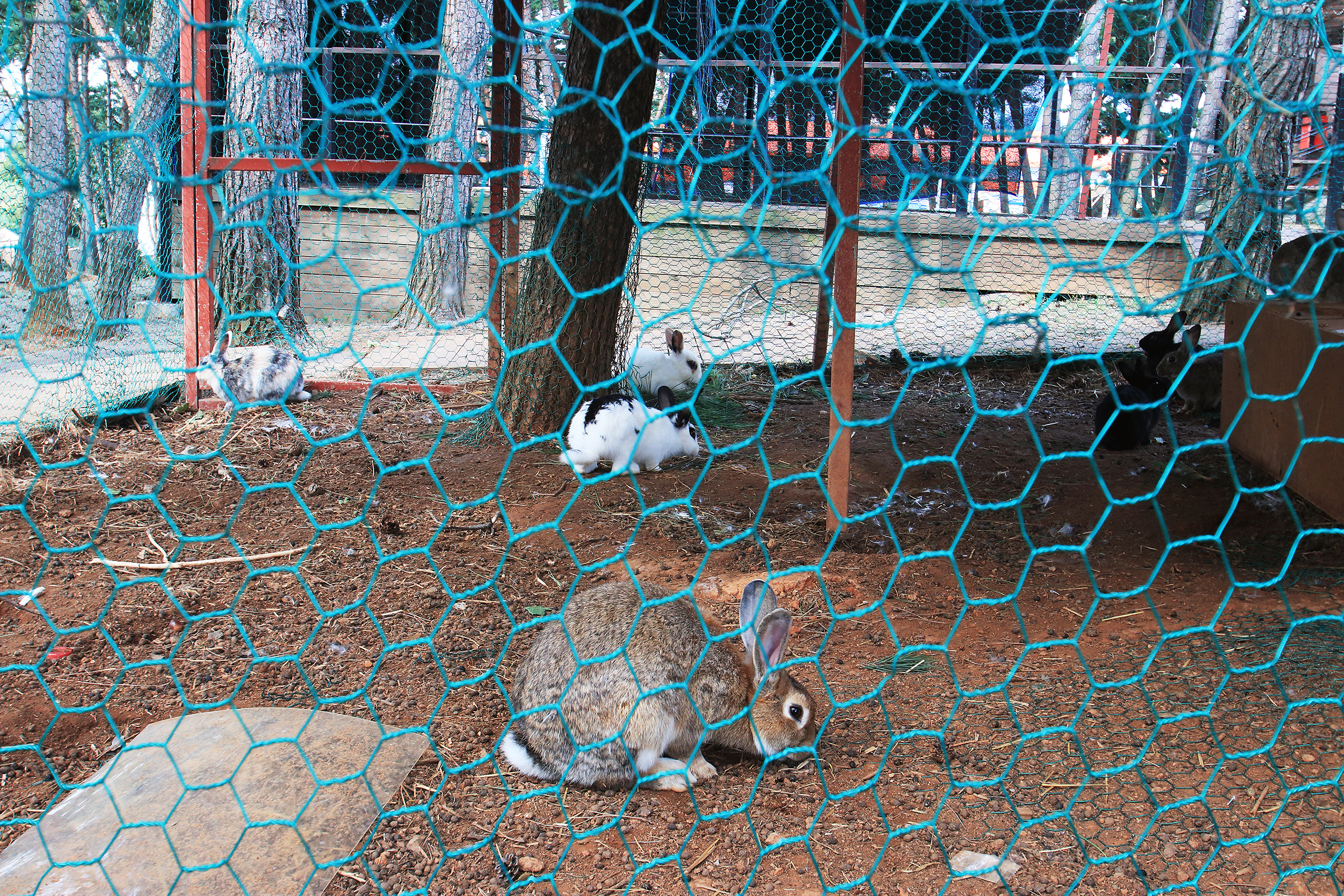 늘푸른캠핑장