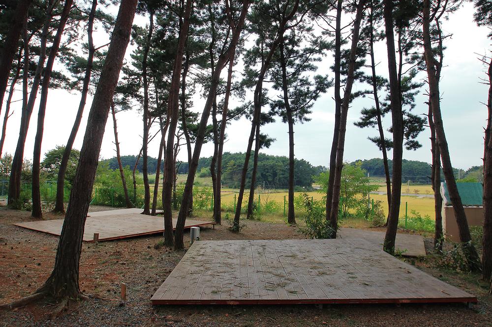 서천 늘푸른캠핑장