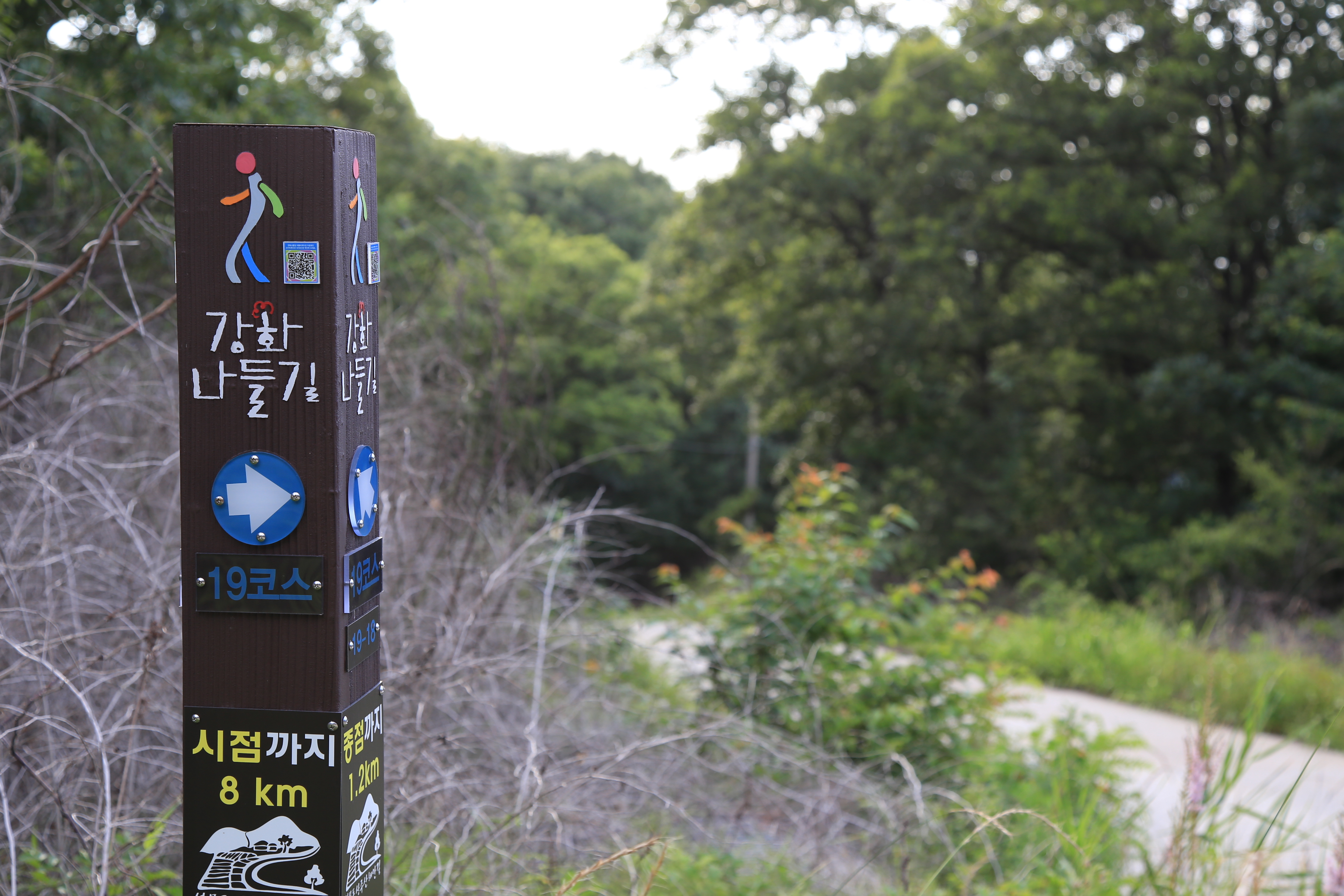 석모도 부자 애견캠핑장