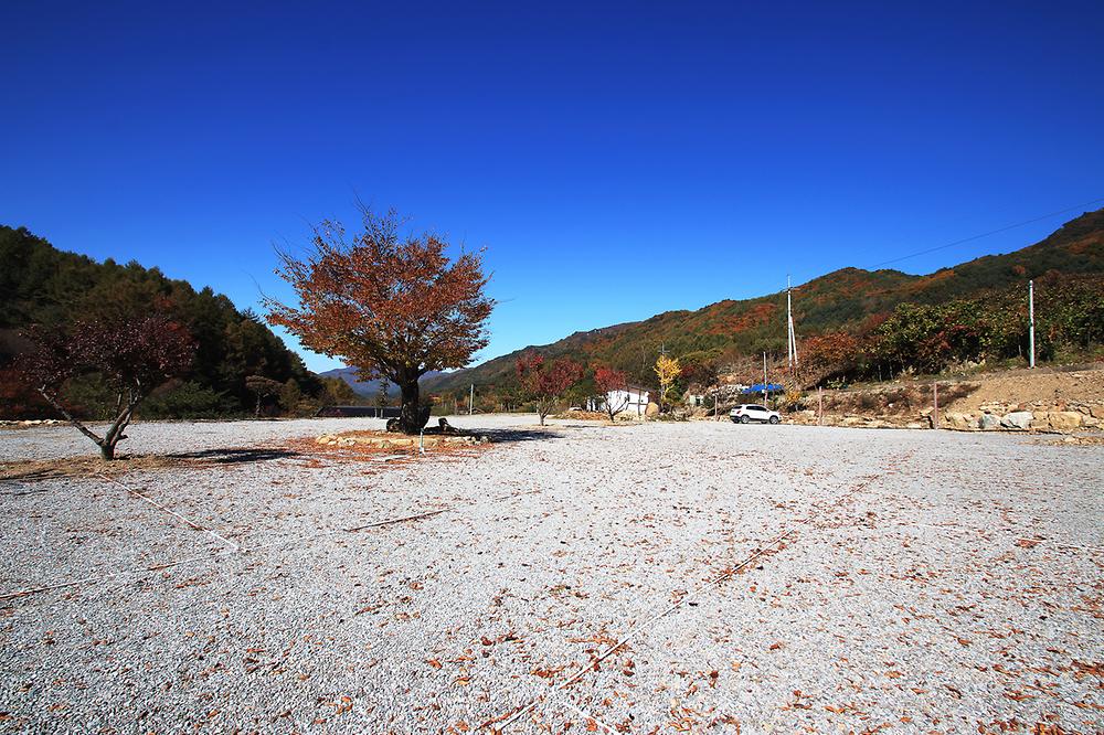 선달산계곡캠핑장