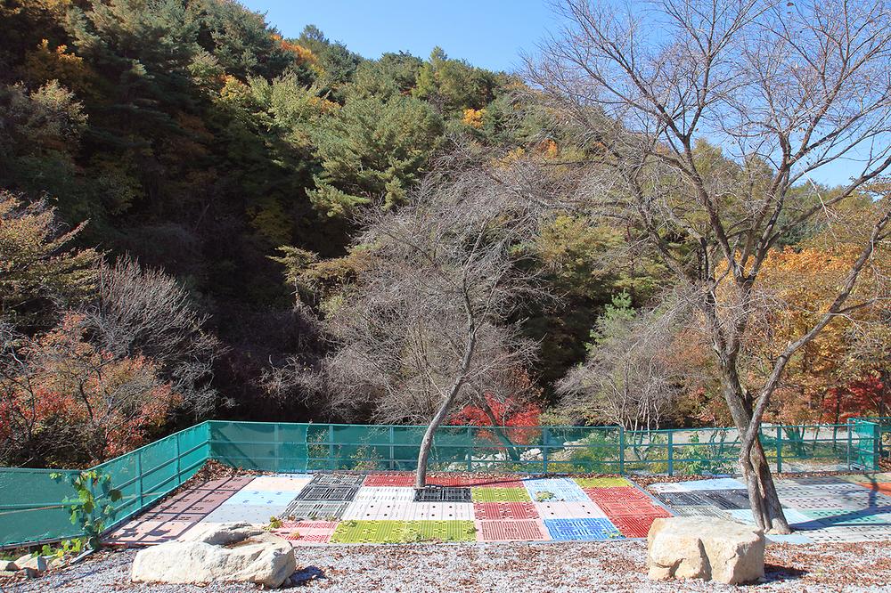 선달산계곡캠핑장