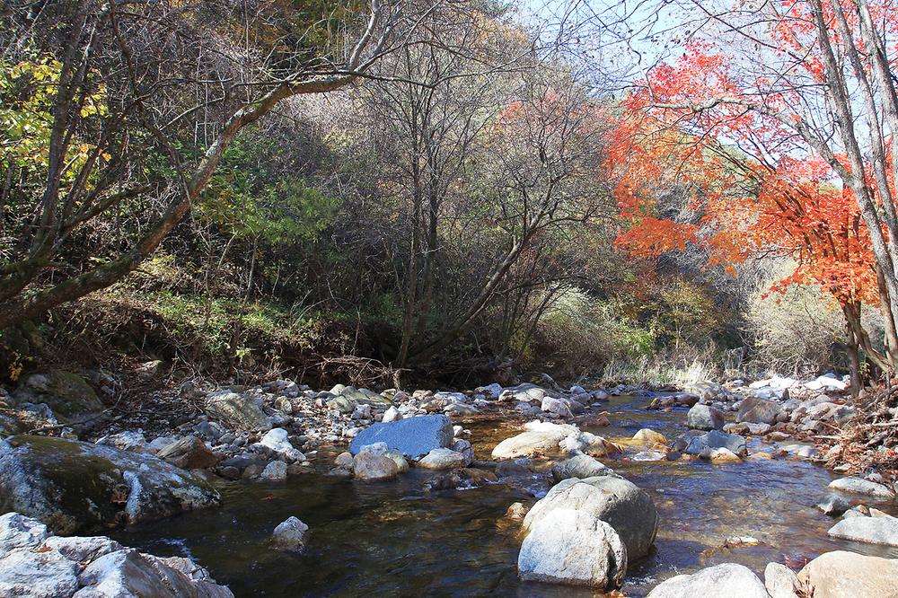 선달산계곡캠핑장