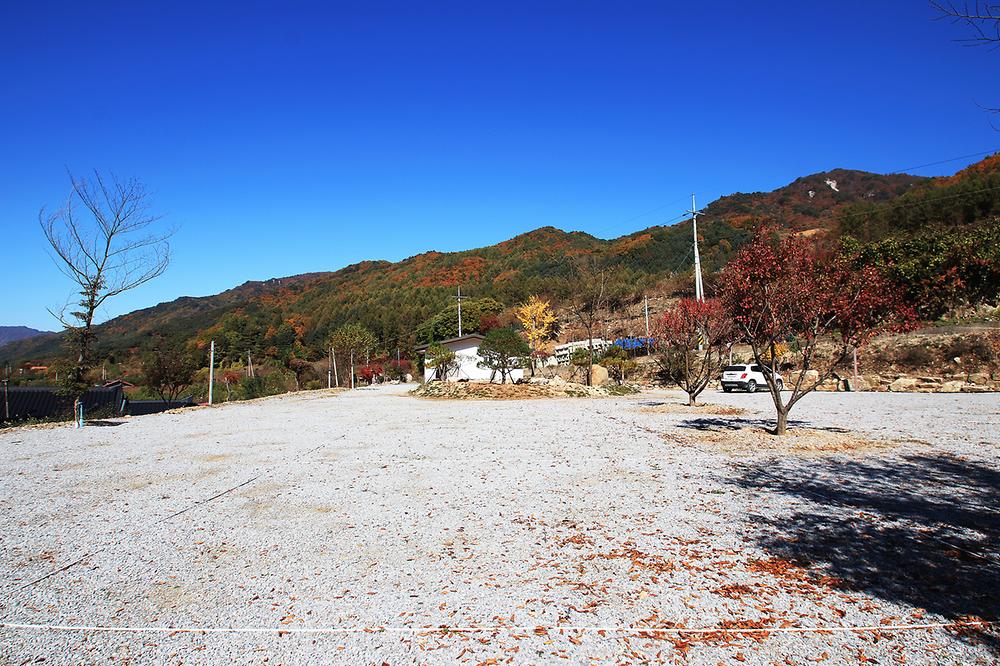 선달산계곡캠핑장