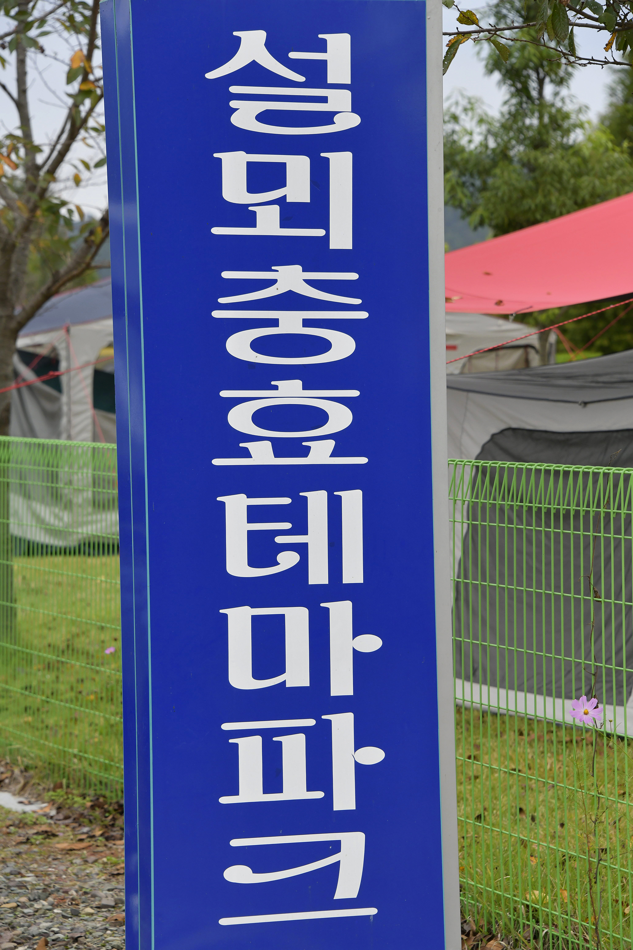 설뫼충효테마파크야영장