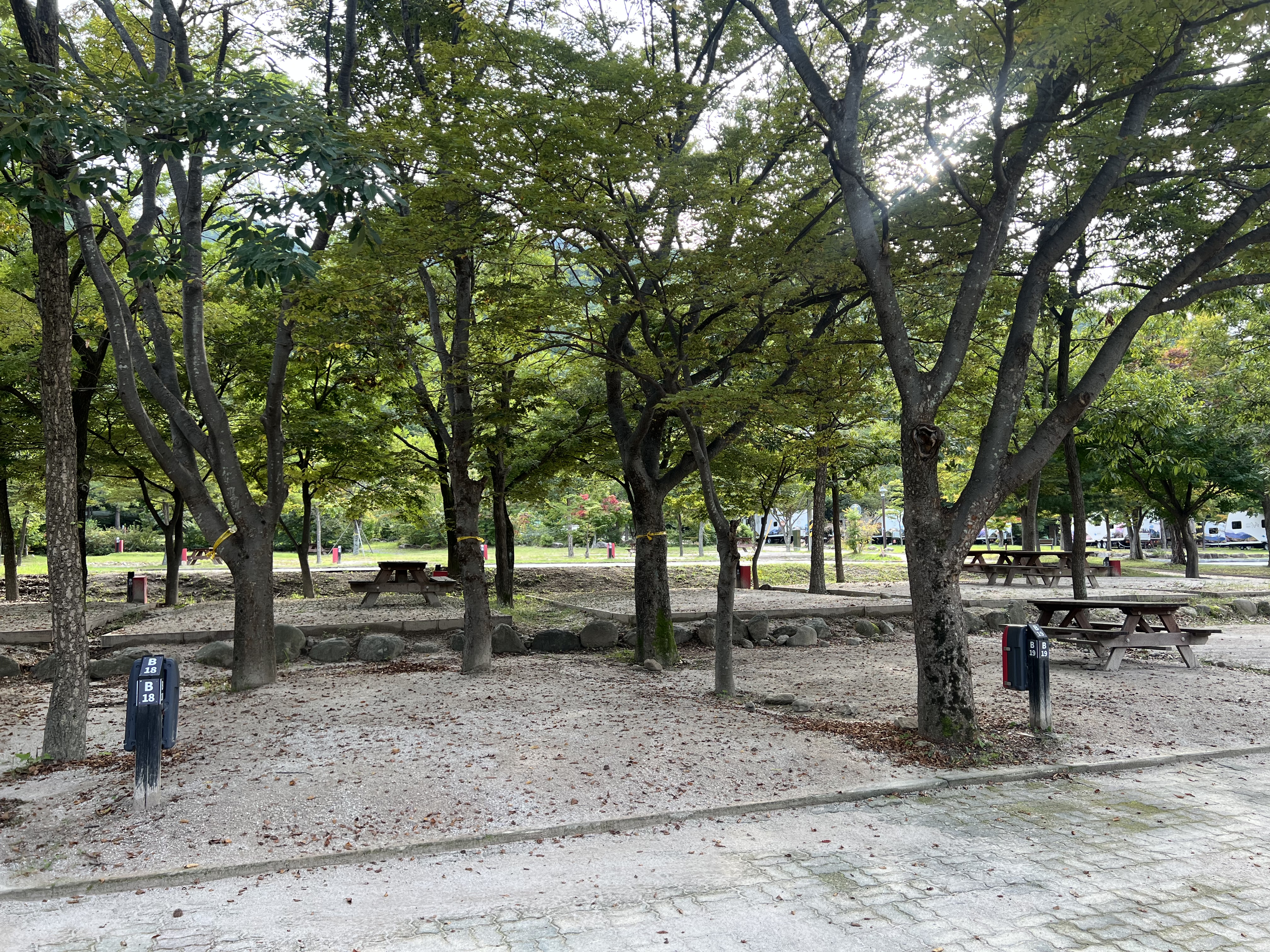 설악동자동차야영장