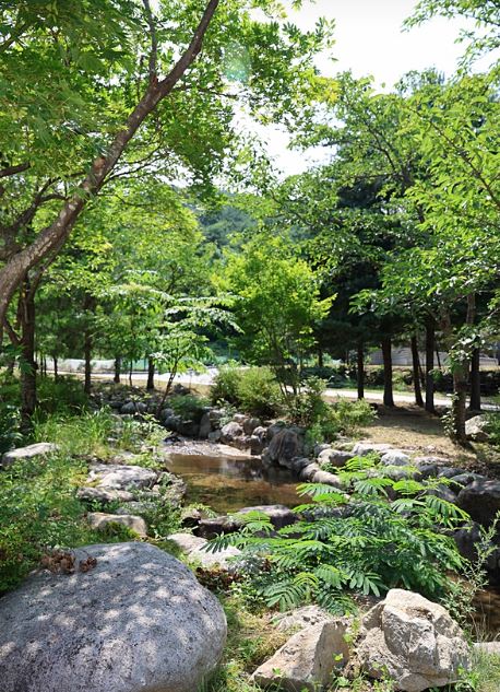 설악동자동차야영장