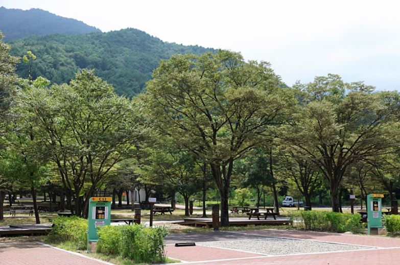 설악동자동차야영장