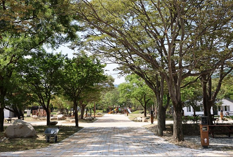 설악동자동차야영장