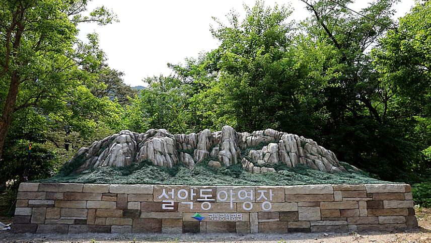 설악동자동차야영장