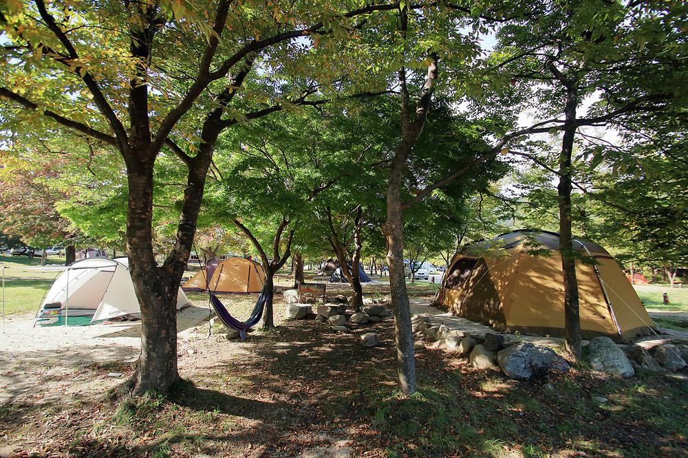 설악산국립공원 설악동자동차야영장