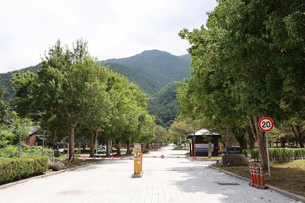 설악동자동차야영장