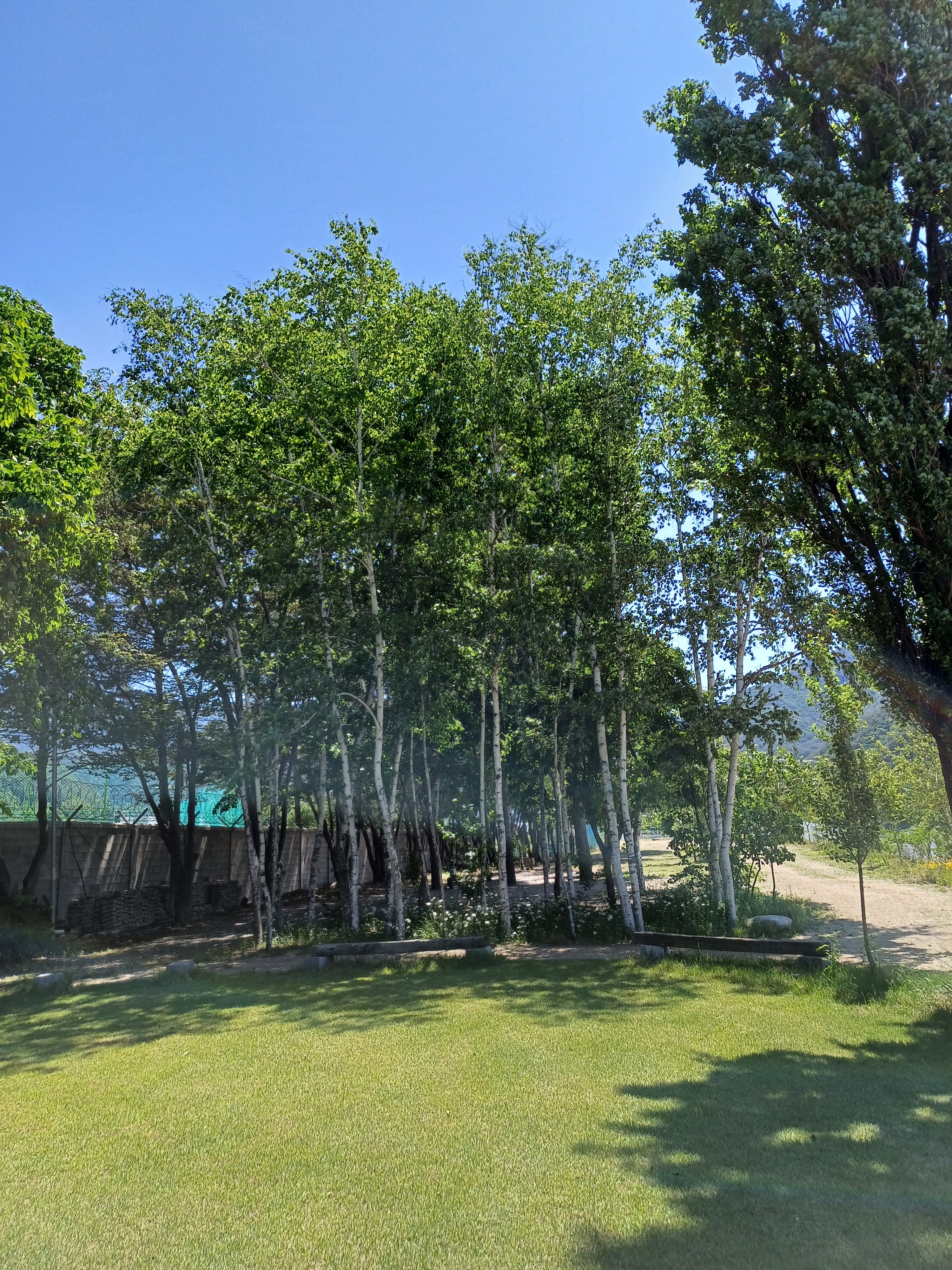 설하캠핑장
