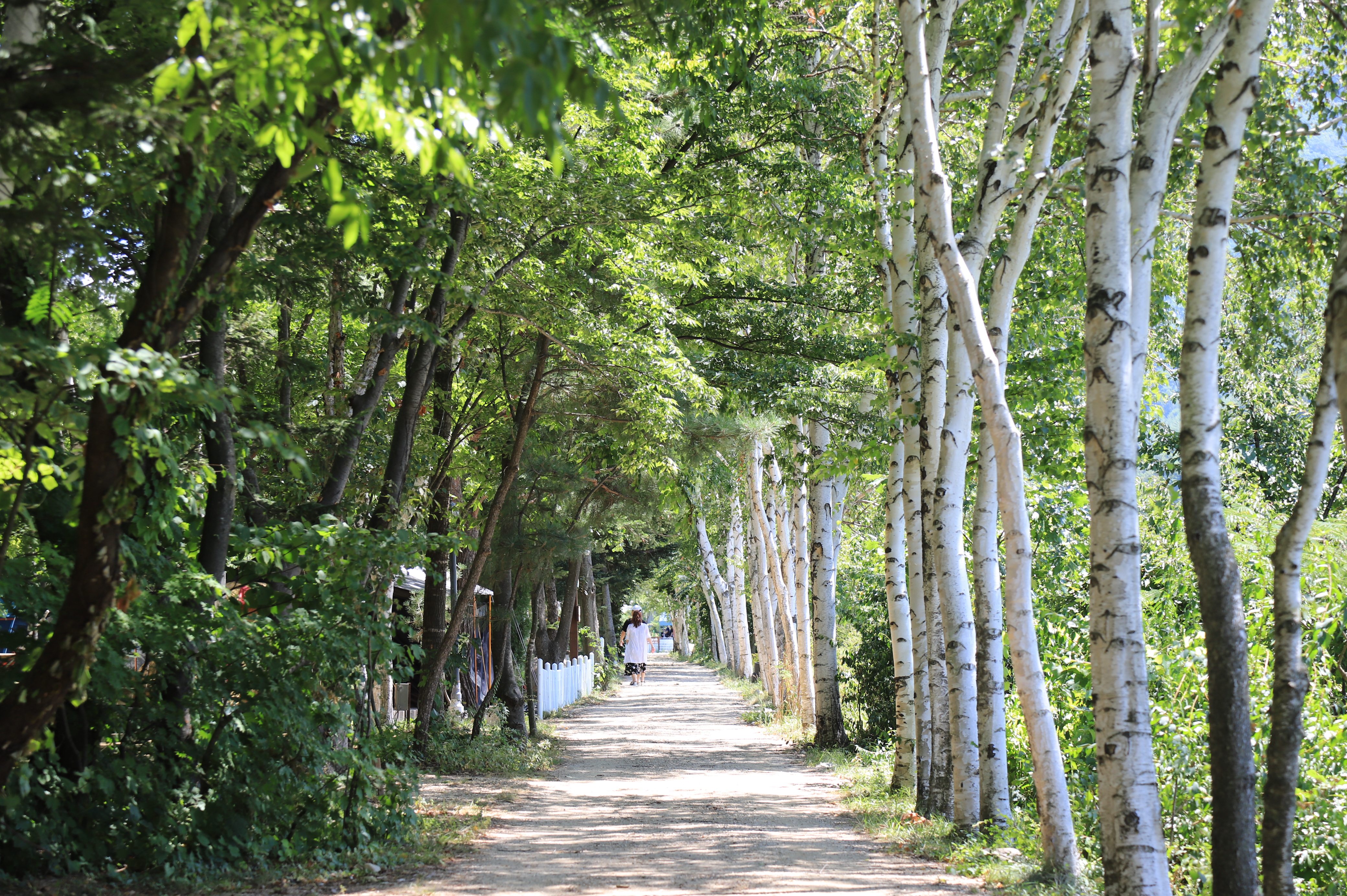 설하캠핑장