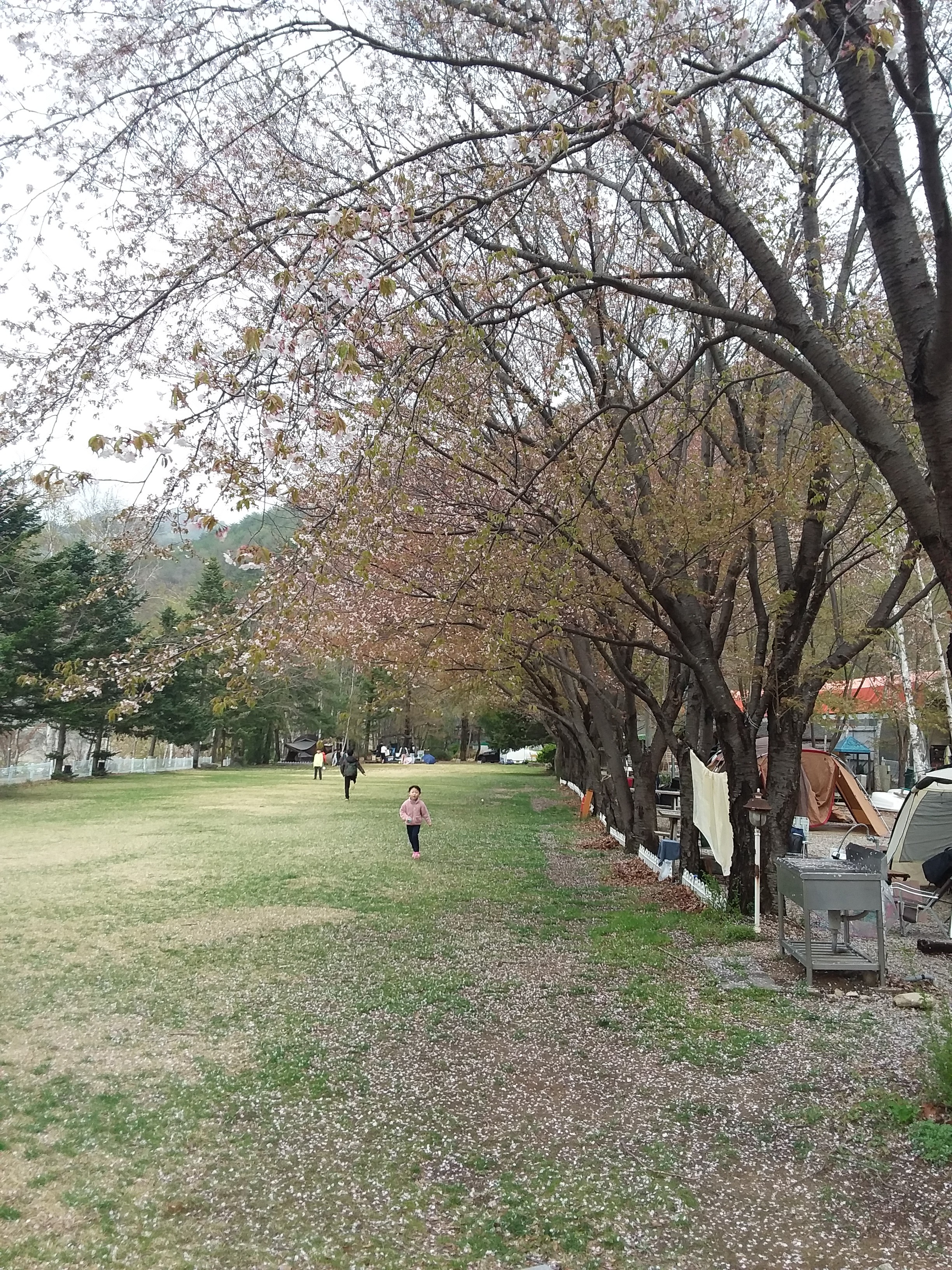 설하캠핑장