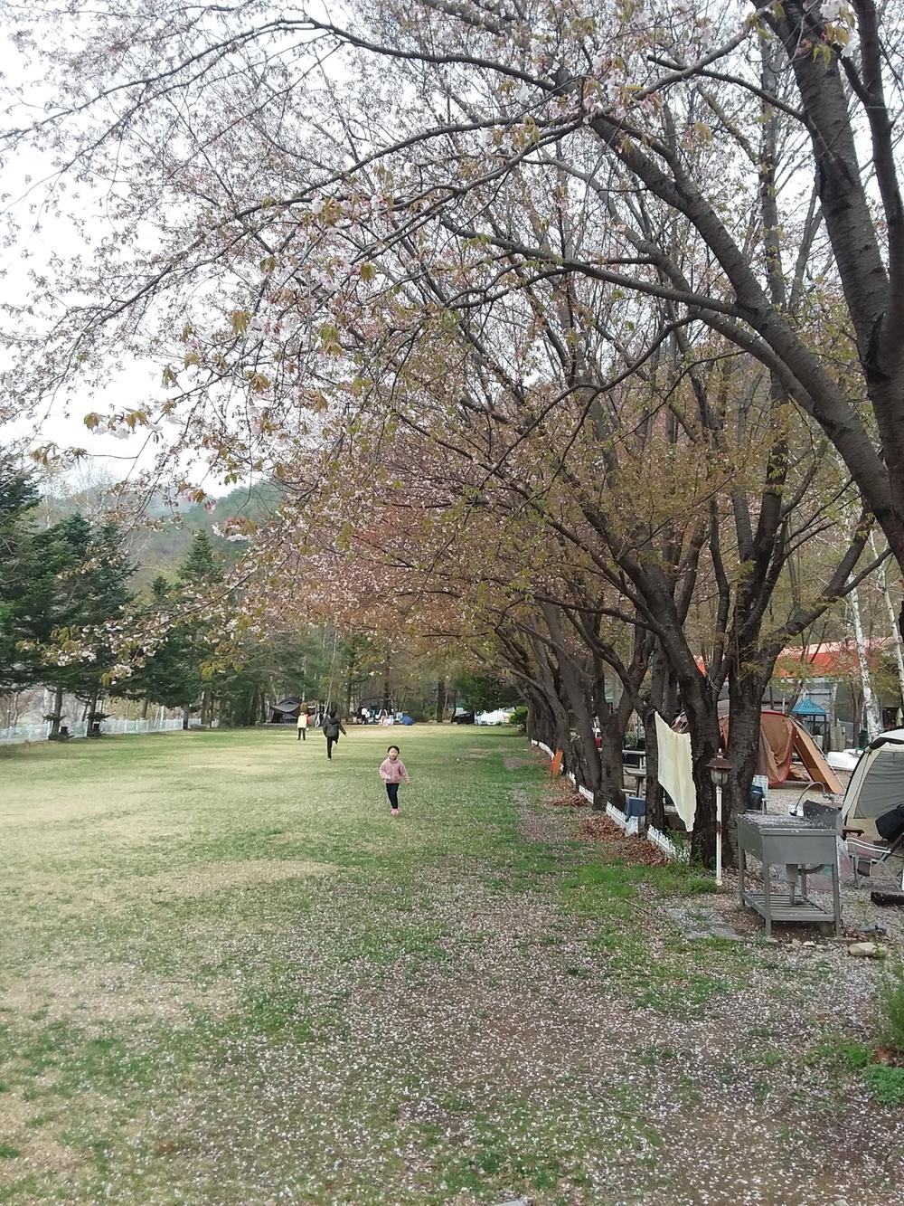 설하캠핑장