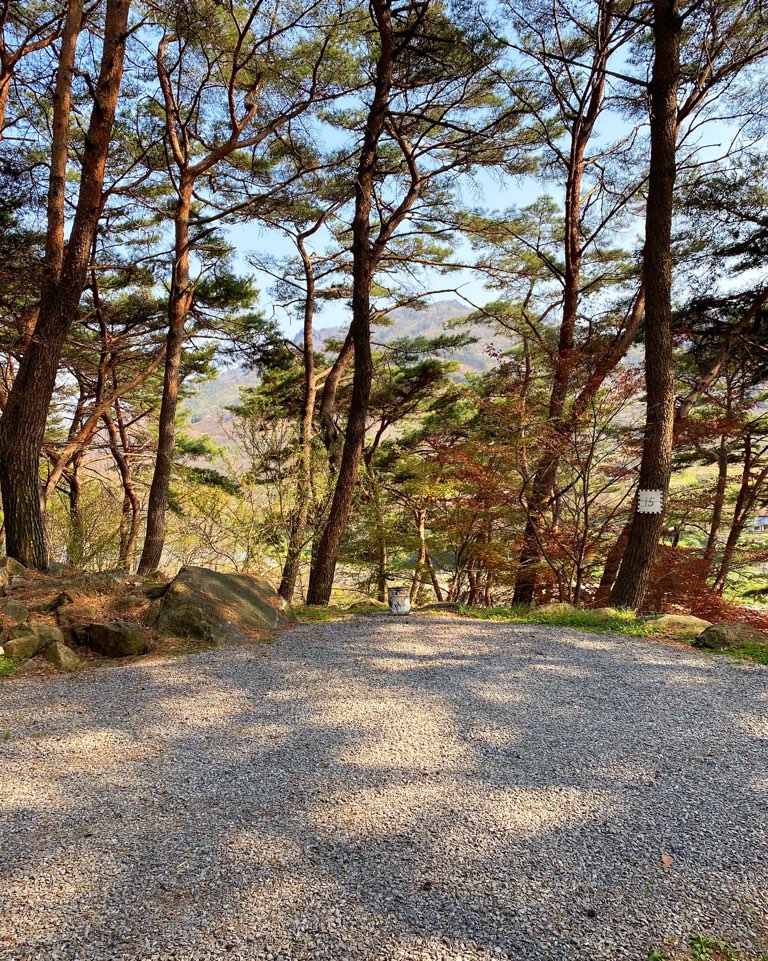 섬지야영장