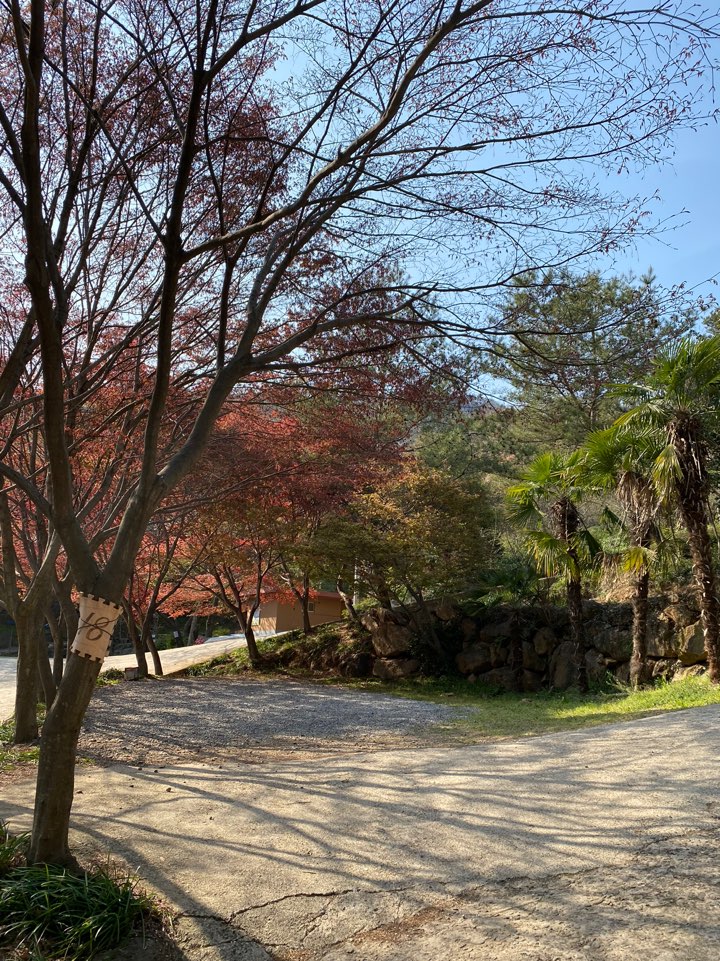 섬지야영장