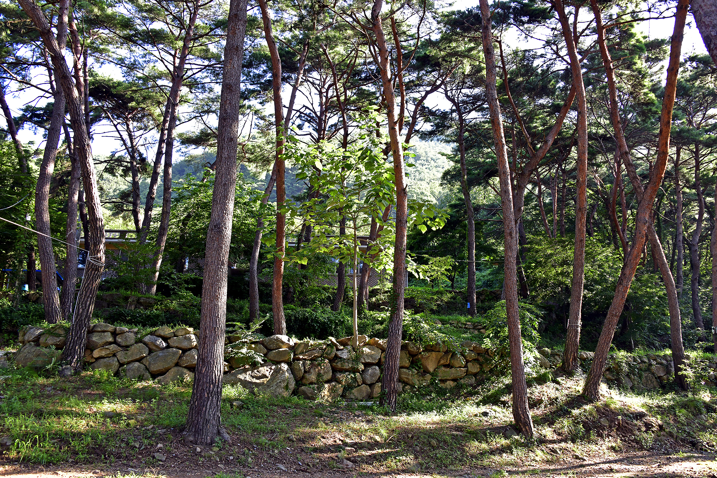섬지야영장