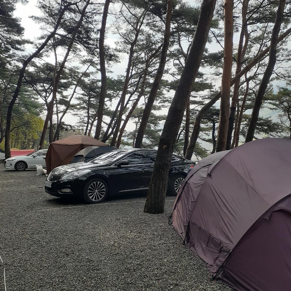 섬지캠핑장