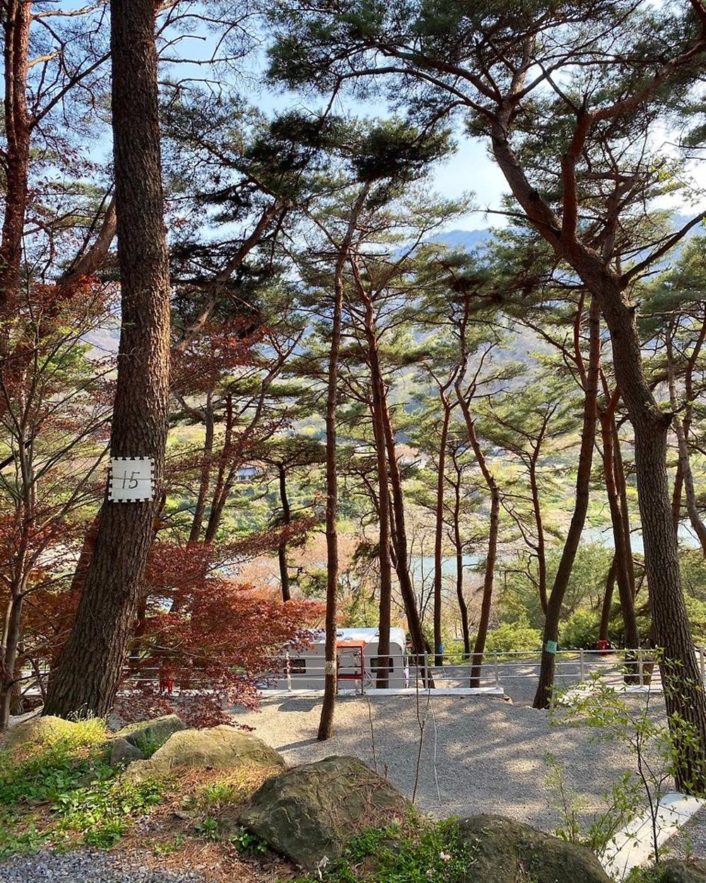 섬지캠핑장