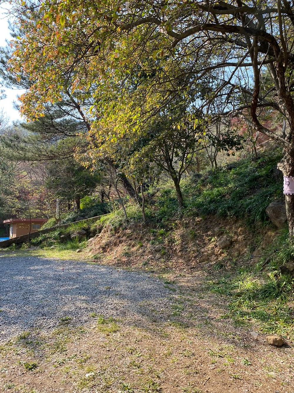 섬지캠핑장