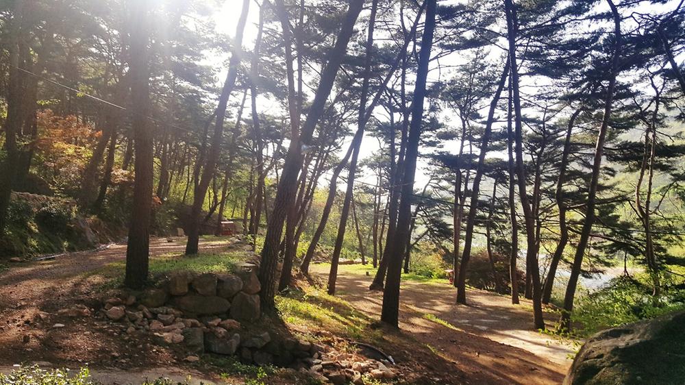 섬지캠핑장