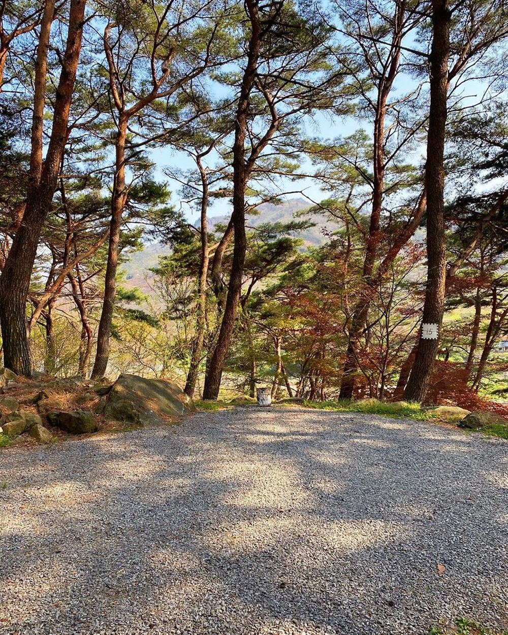 섬지캠핑장