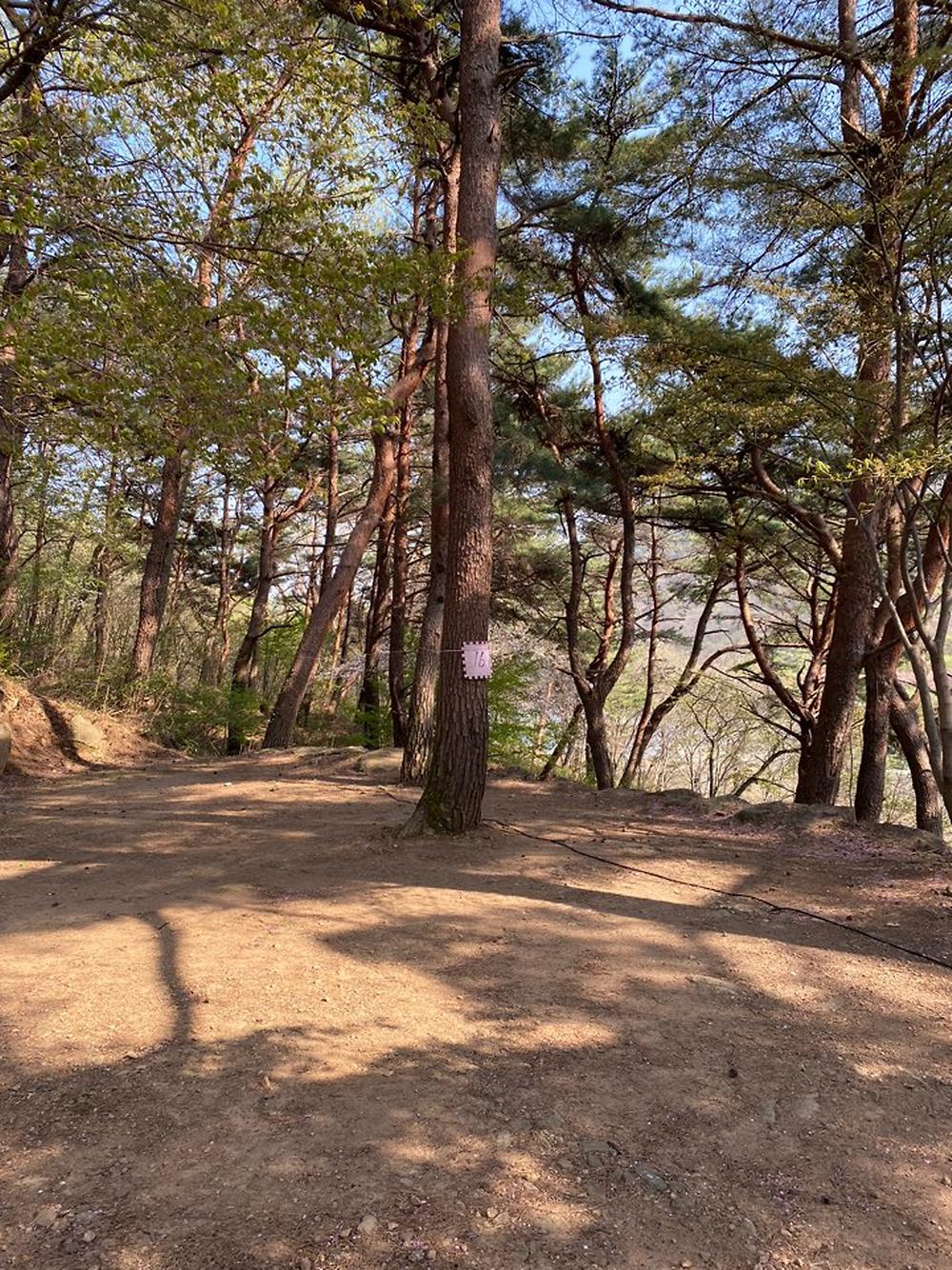 섬지캠핑장