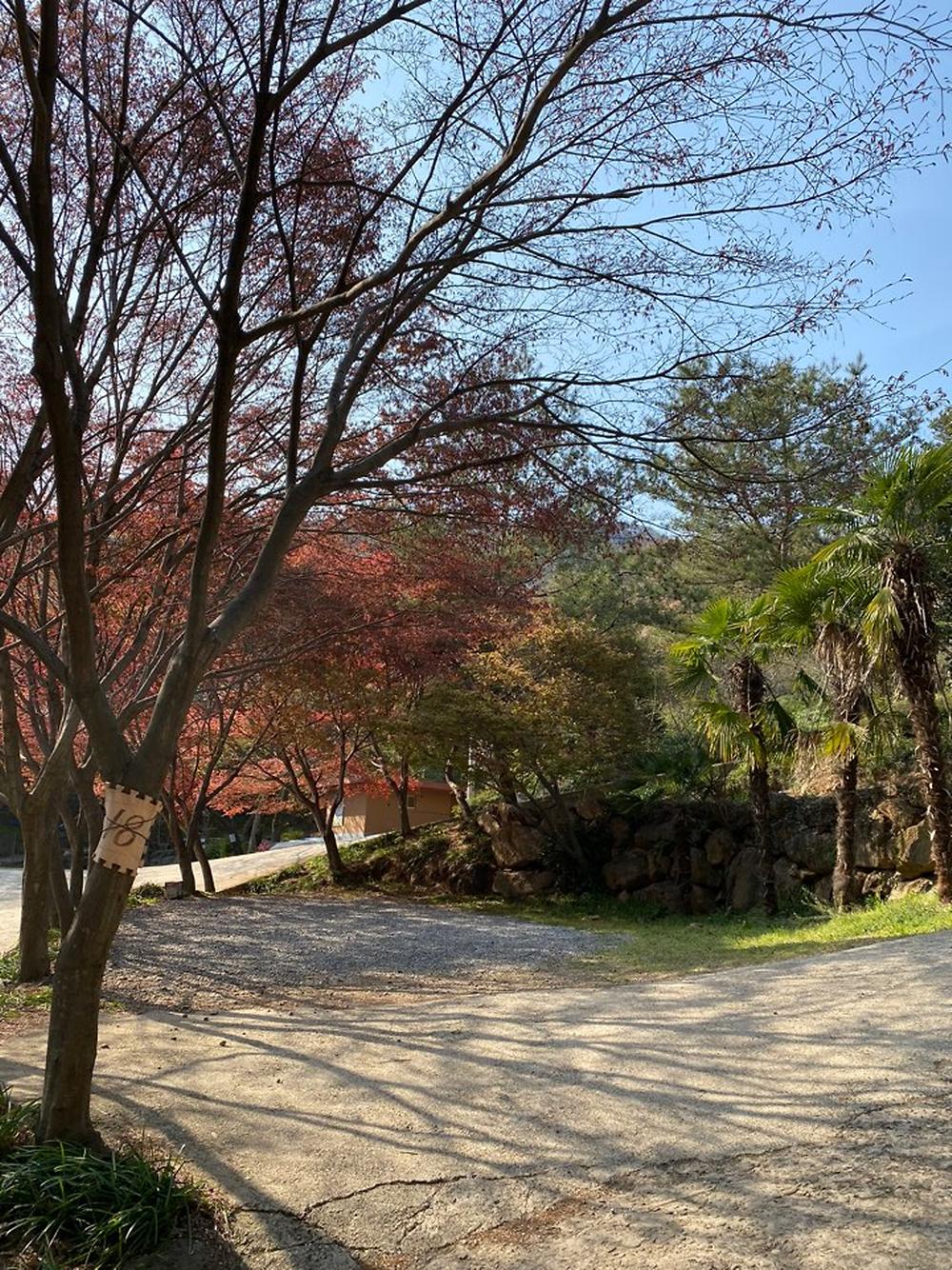 섬지캠핑장