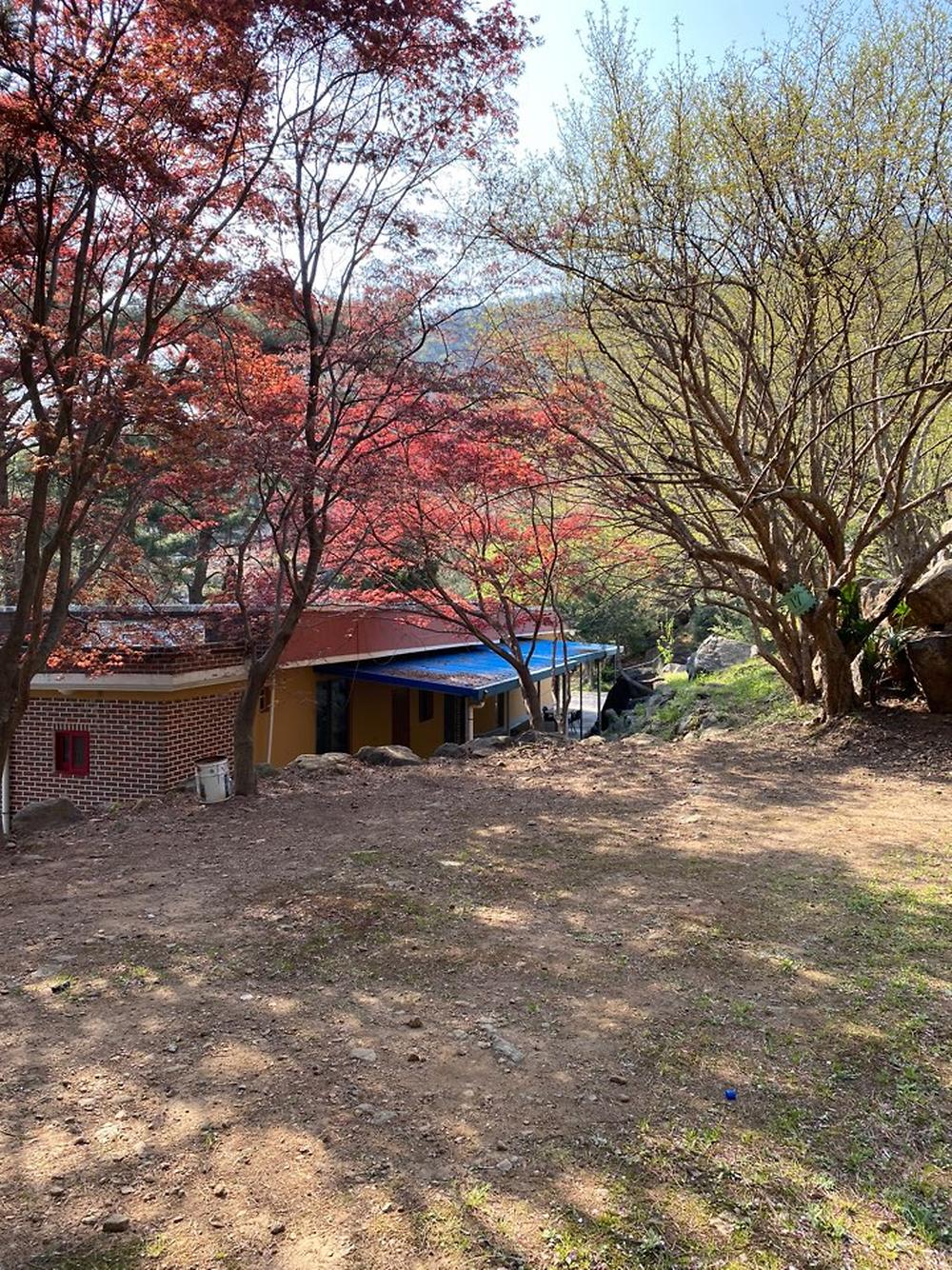 섬지캠핑장
