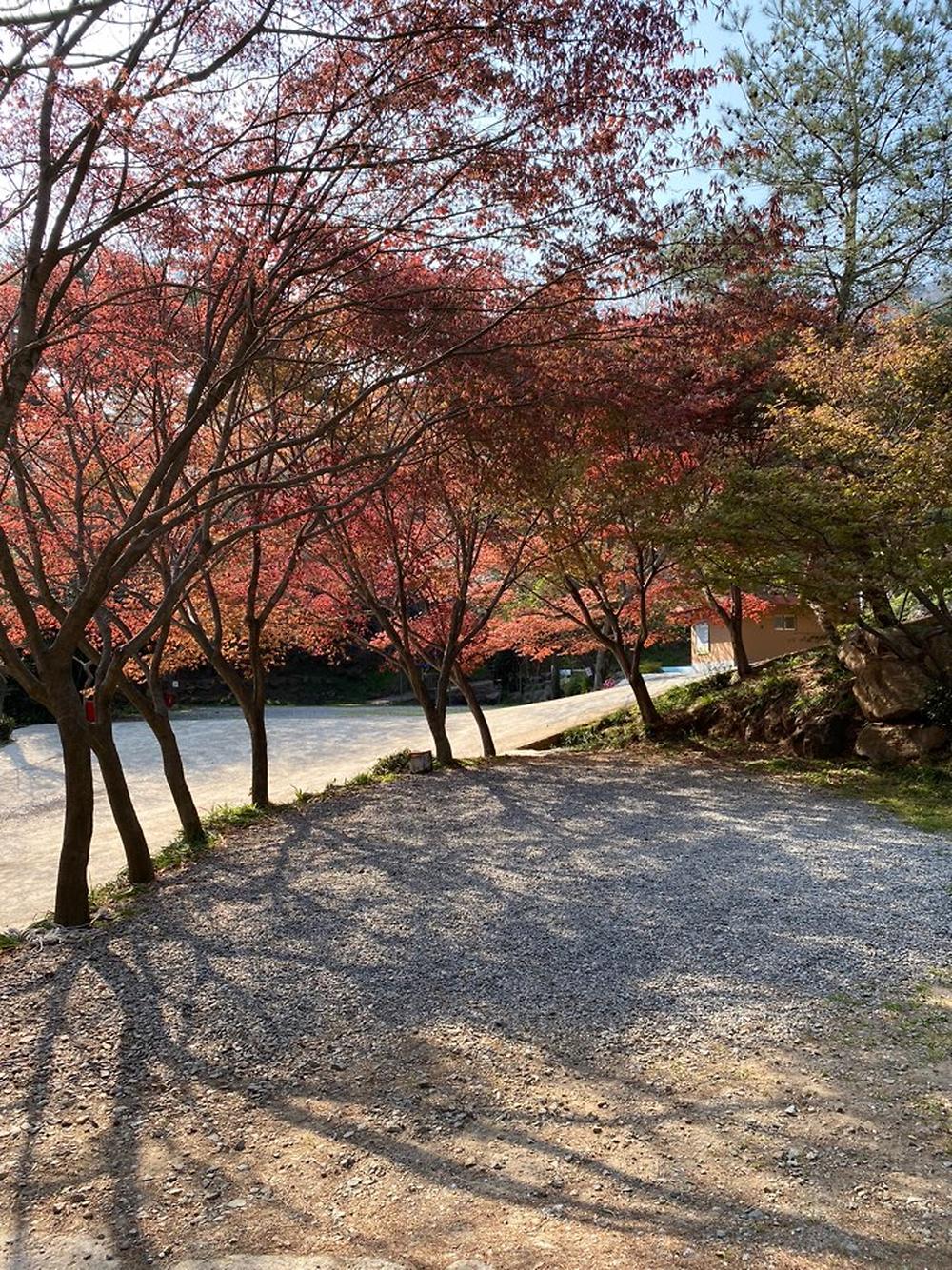 섬지캠핑장
