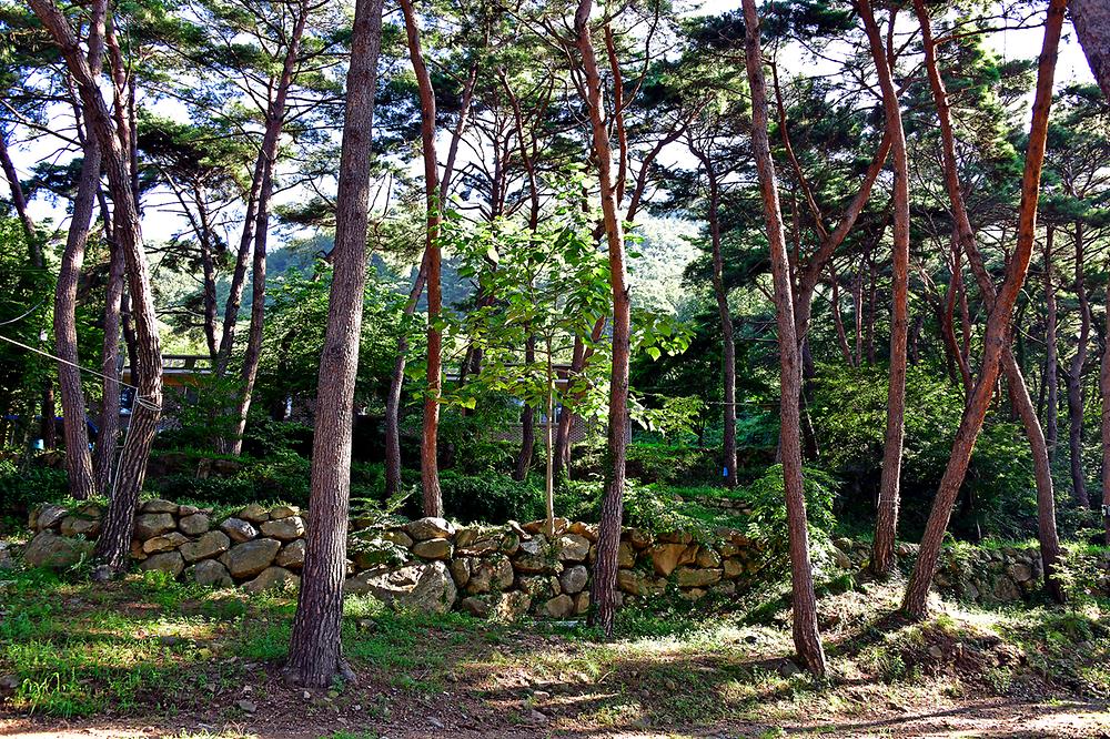섬지캠핑장