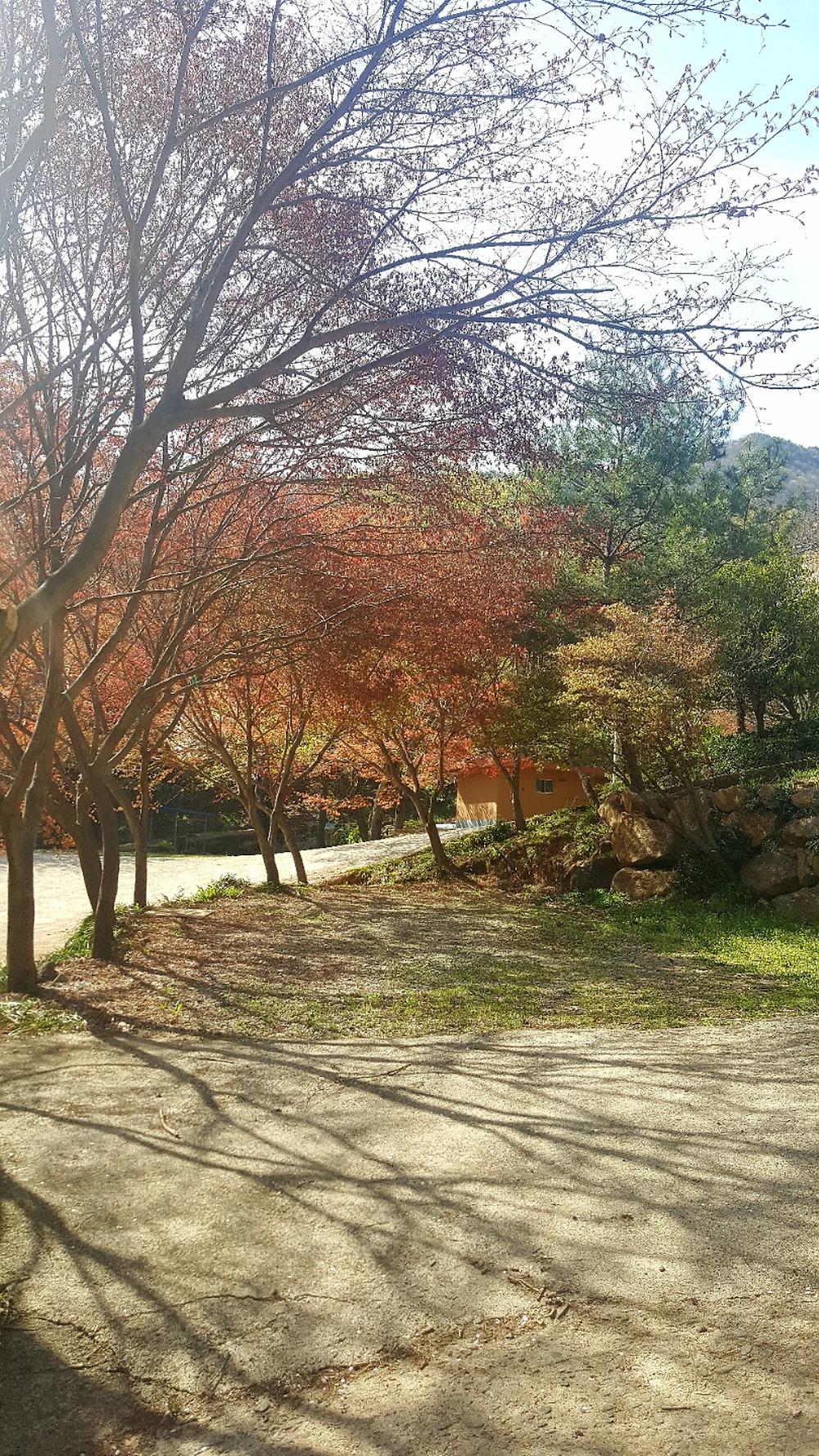 섬지캠핑장