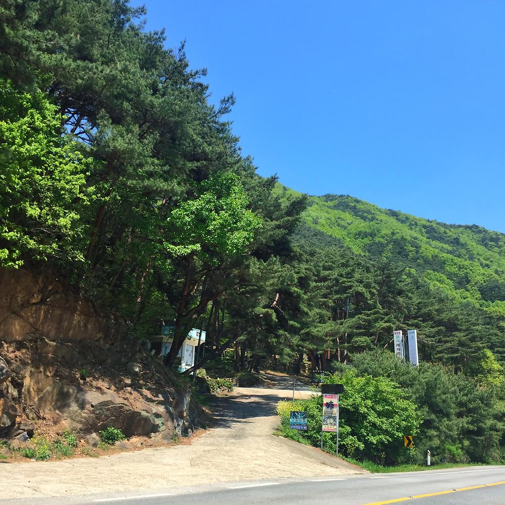 섬지캠핑장