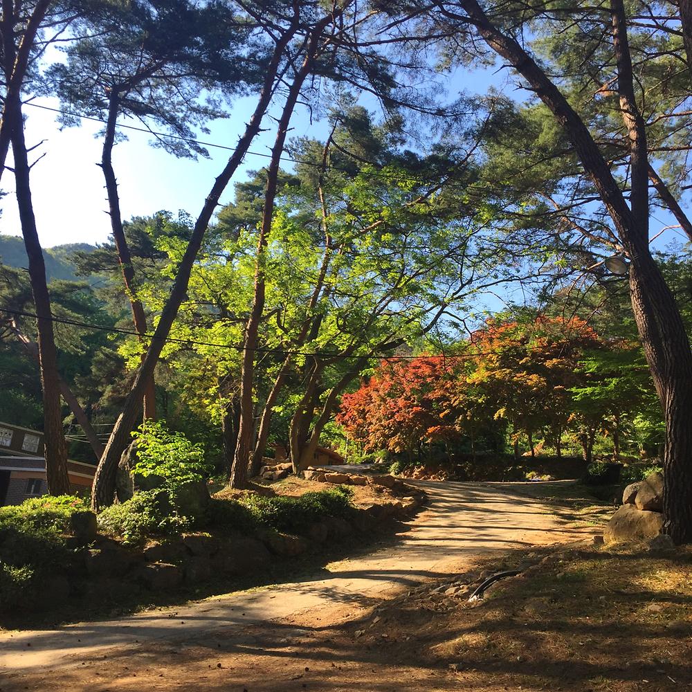 섬지캠핑장